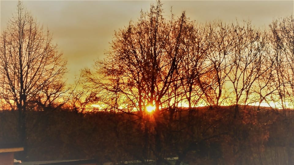 Property building, Autumn, On site, Sunrise