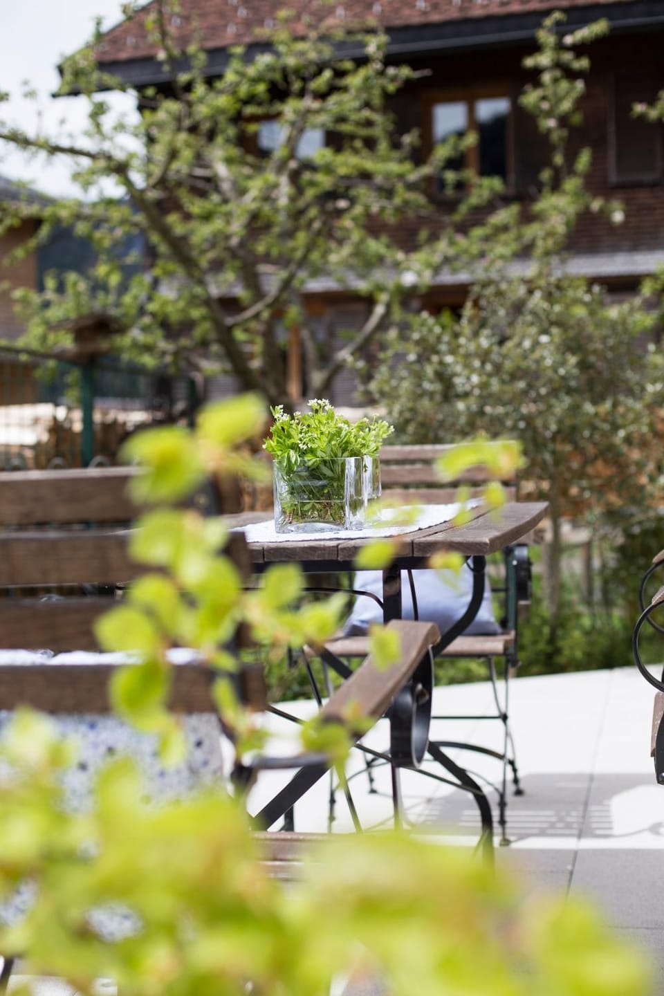 Garden, Balcony/Terrace