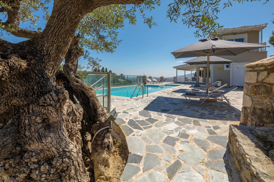 Pool view, sunbed