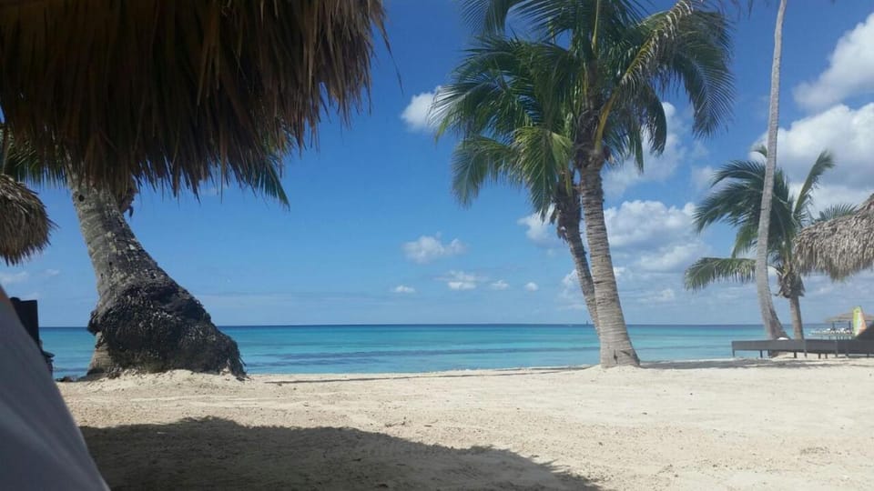 Palma Real Apartment in Dominicus