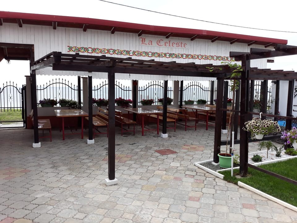 BBQ facilities, Garden, Balcony/Terrace, Garden view