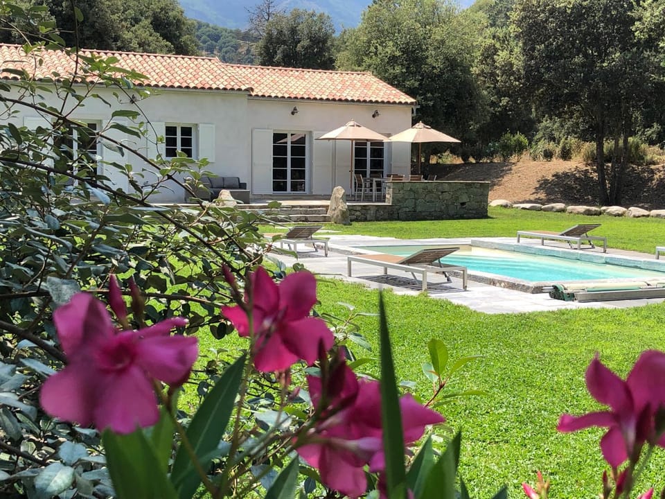 Garden, Garden view, Pool view, Swimming pool, sunbed