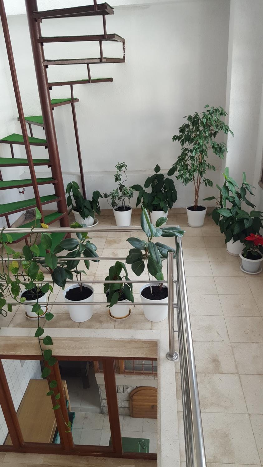 Sun Oliver Apartment in Makarska