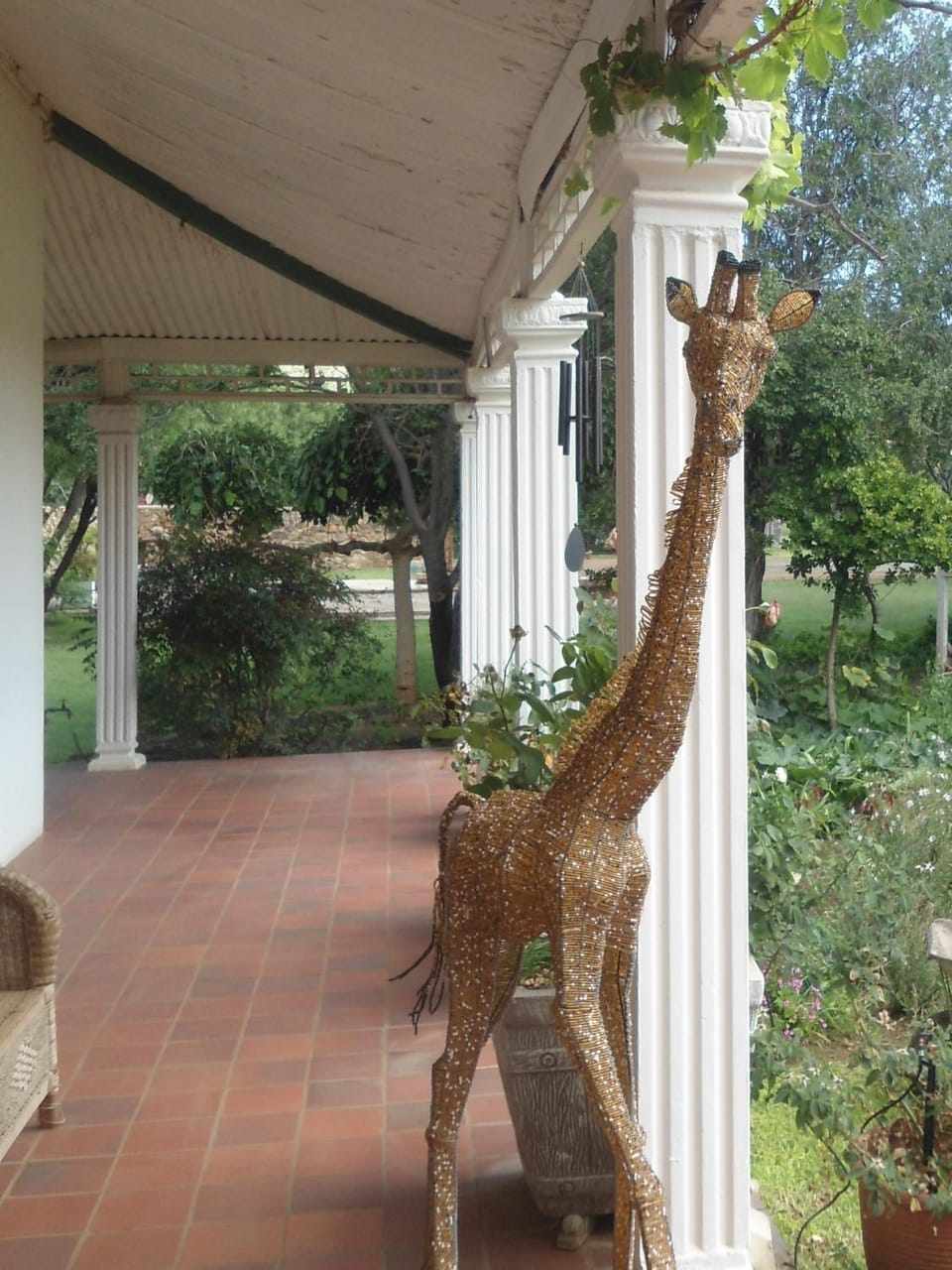 Patio