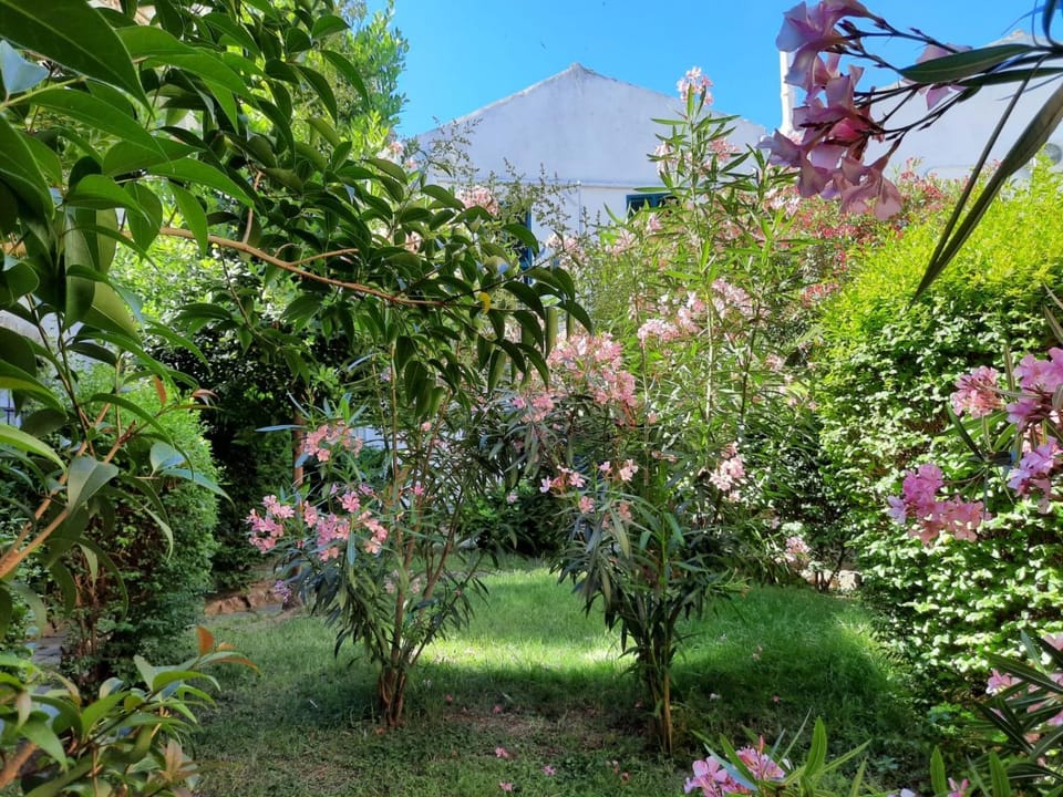 Garden, Garden view
