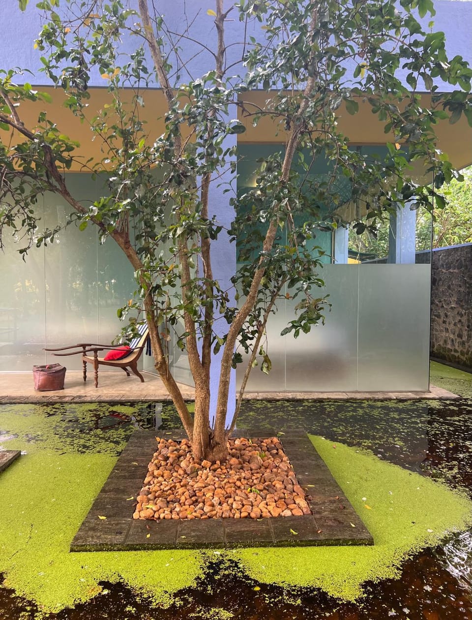 Spa and wellness centre/facilities