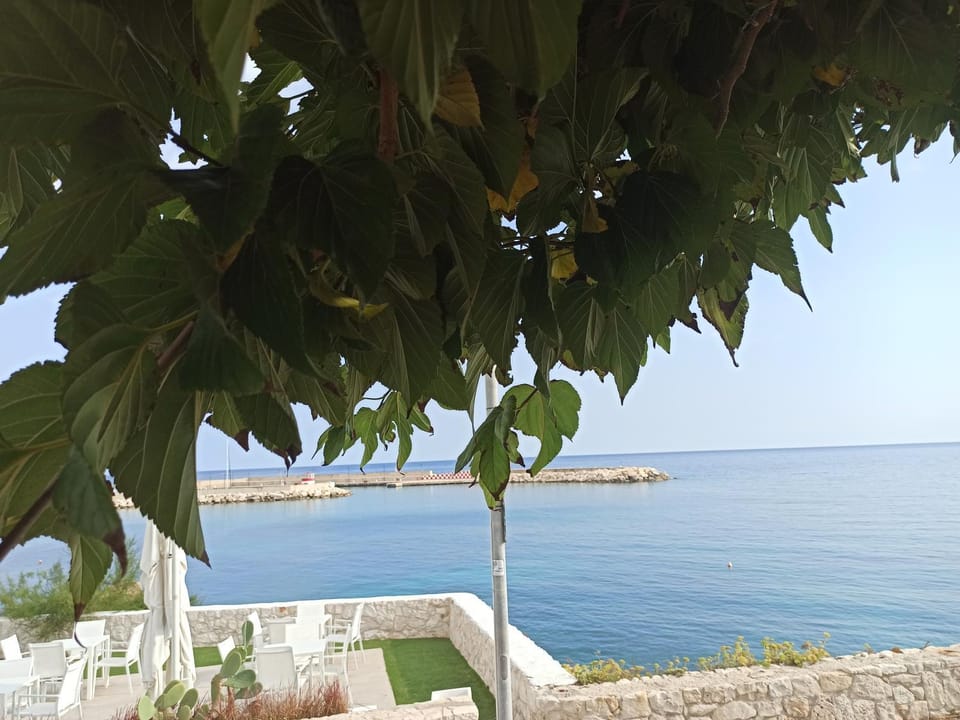 Natural landscape, Balcony/Terrace, Sea view