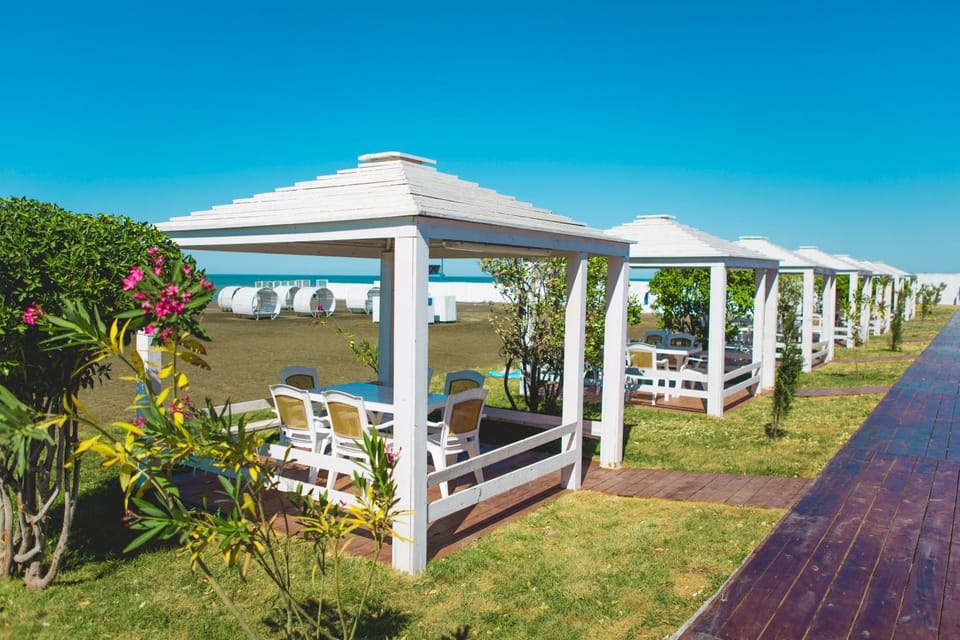Patio, Day