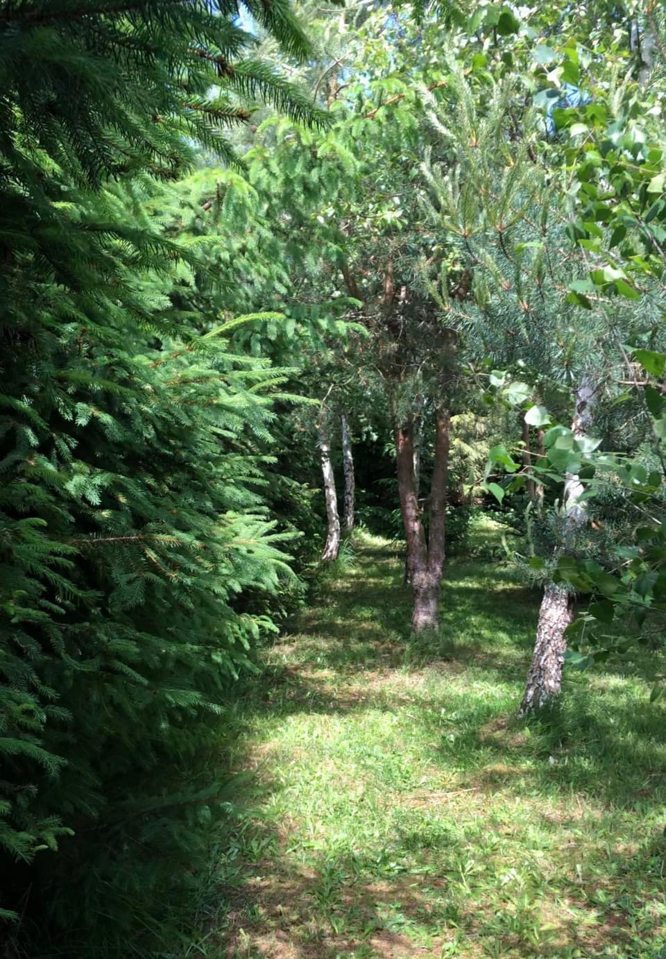 Domek Machowino w Dolinie nad Stawem Apartment in Pomeranian Voivodeship