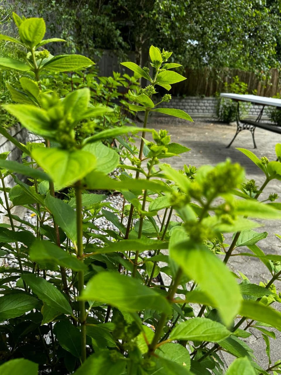 Domek Machowino w Dolinie nad Stawem Apartment in Pomeranian Voivodeship