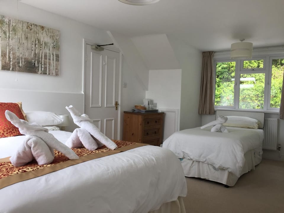 Silver Birch Guesthouse Bed and Breakfast in Looe