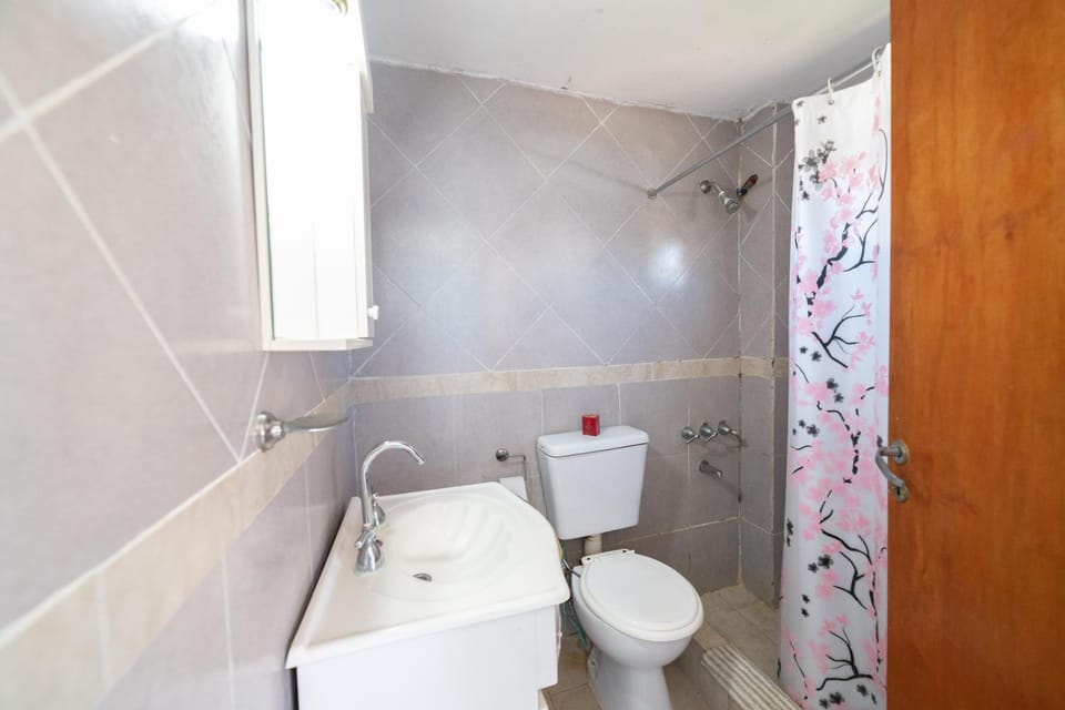 Shower, Toilet, Bathroom, bidet