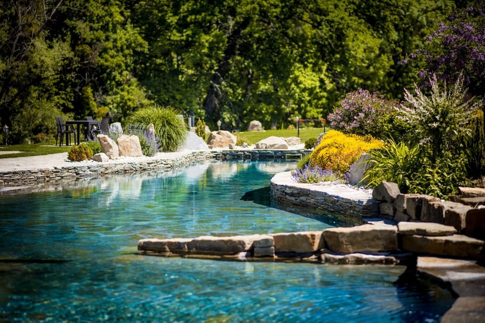 Garden, Garden, Garden view, Pool view, Swimming pool