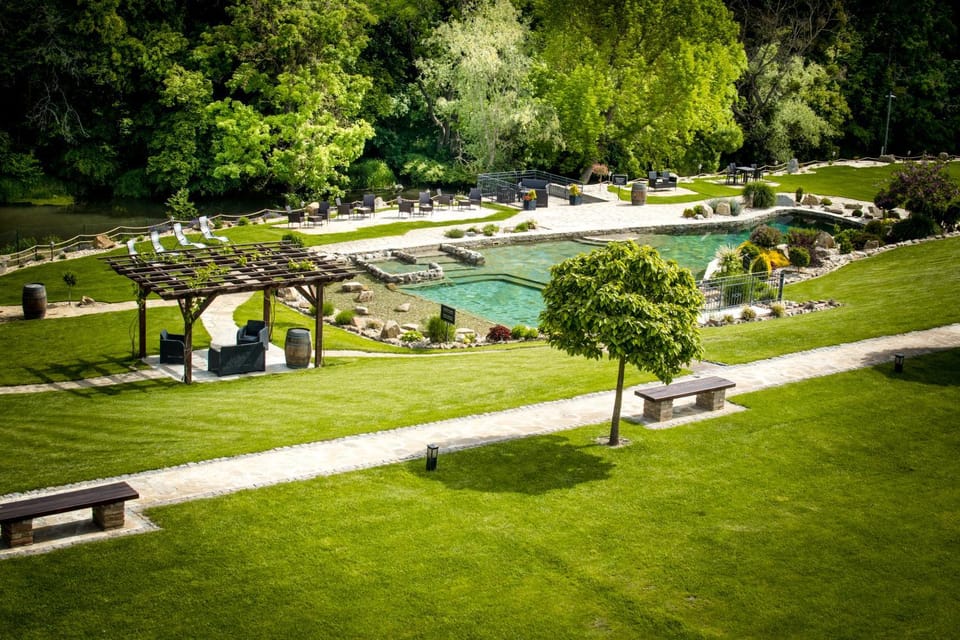 Natural landscape, Garden, Garden view, Pool view, Swimming pool