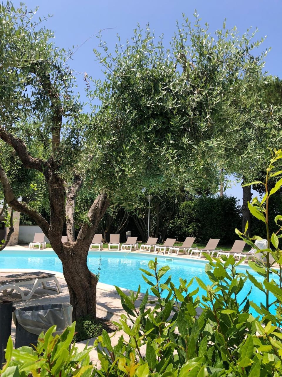 Swimming pool