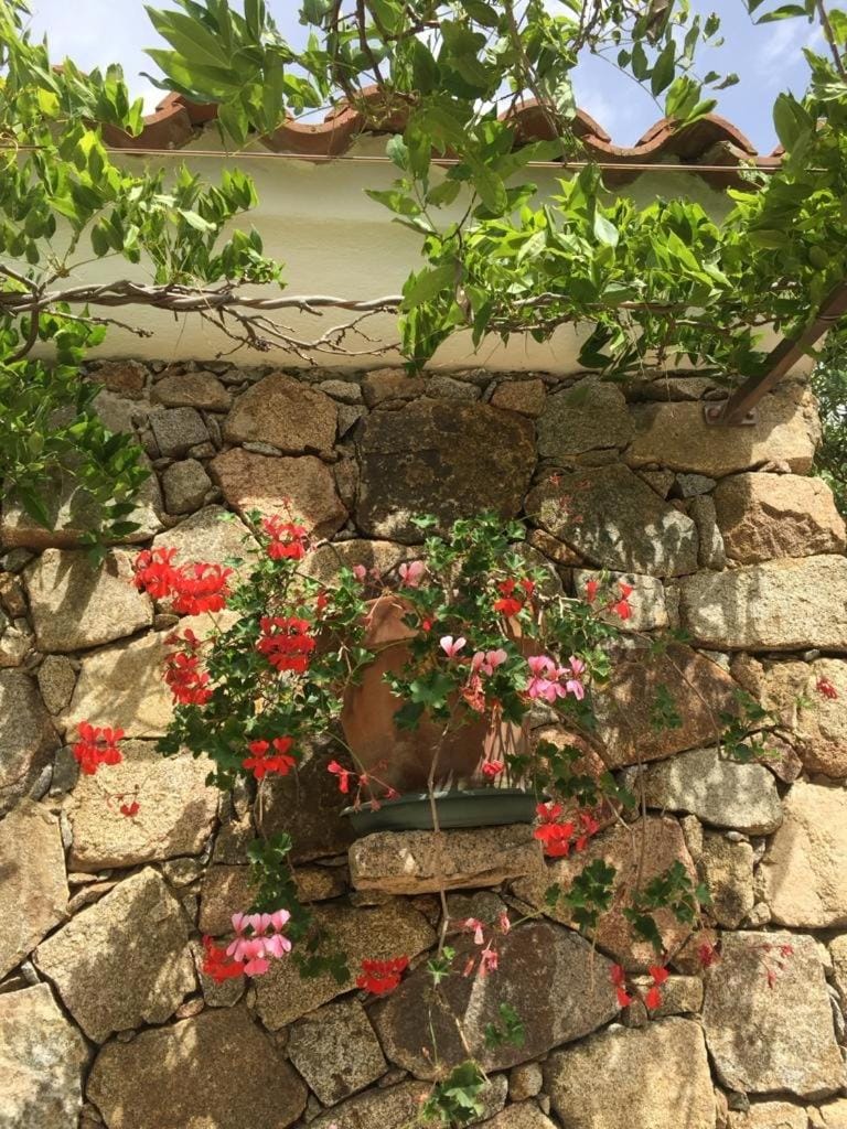 Stazzo Isola Rossa di Gallura House in Sardinia