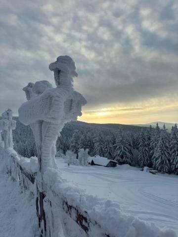 Horska Bouda Dvoracky Bed and Breakfast in Lower Silesian Voivodeship