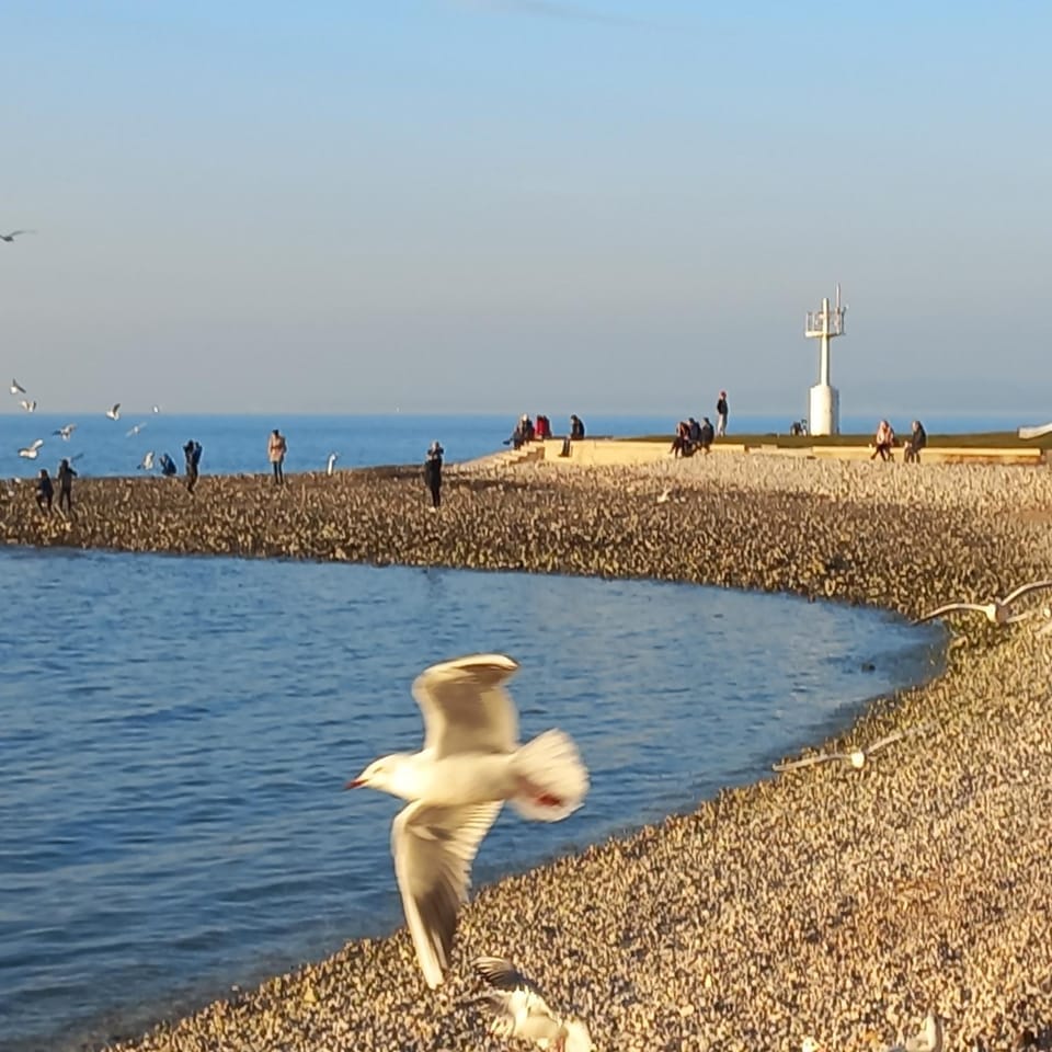 Day, Beach