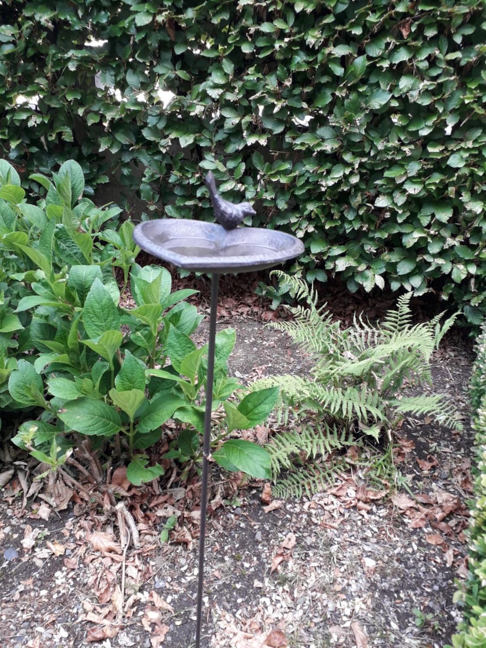 La Maison Hôte, gîte de charme en bord de Semois House in Wallonia, Belgium
