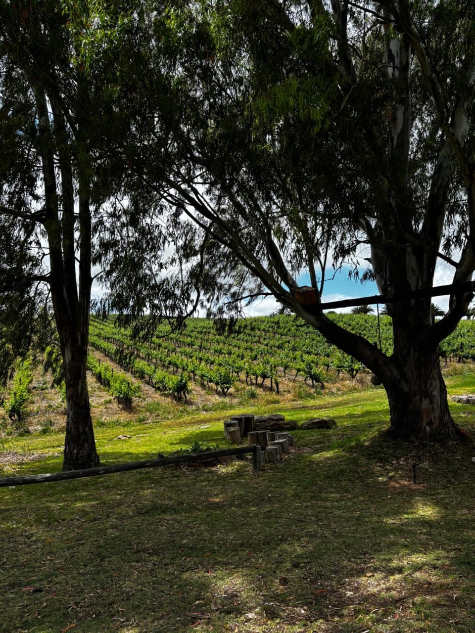 Arendsig Wine Estate & Cottages Country House in Western Cape
