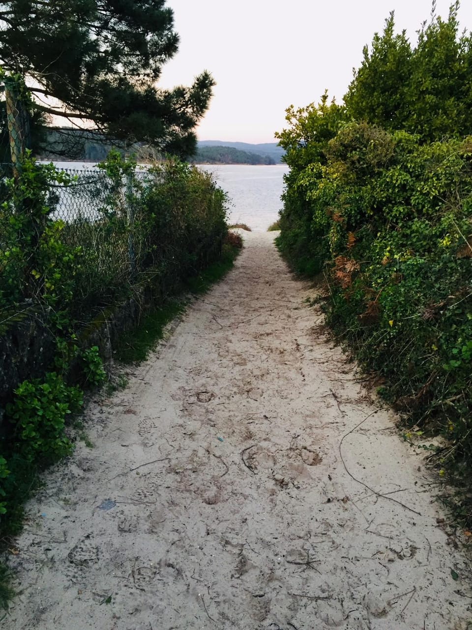 Natural landscape