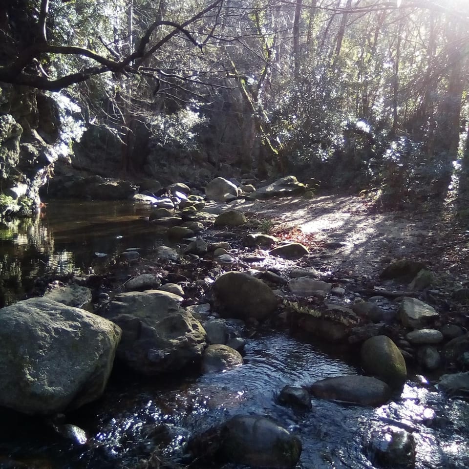 Natural landscape