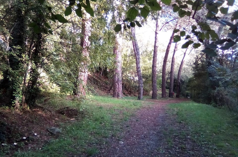 Natural landscape