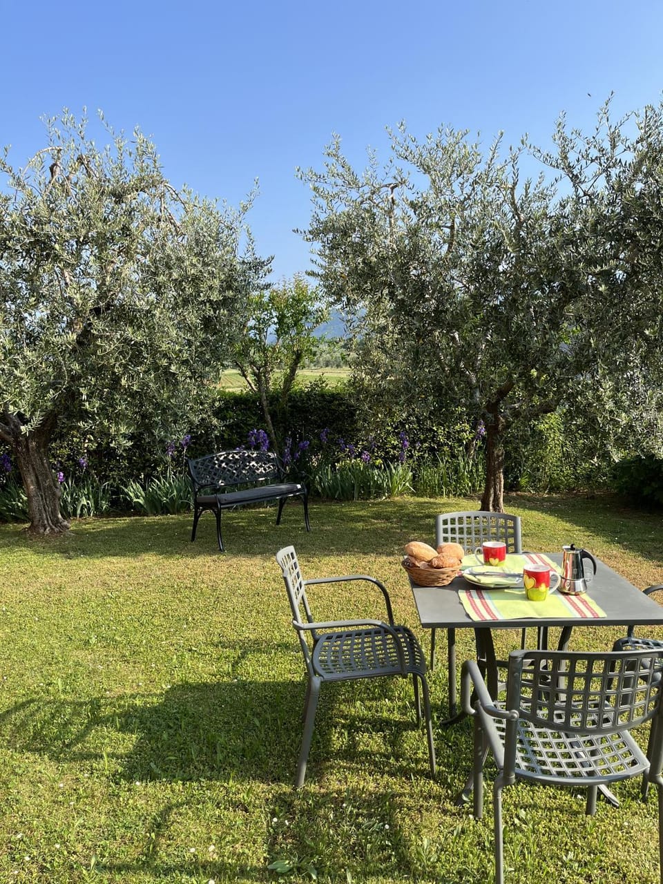 Garden, Garden view