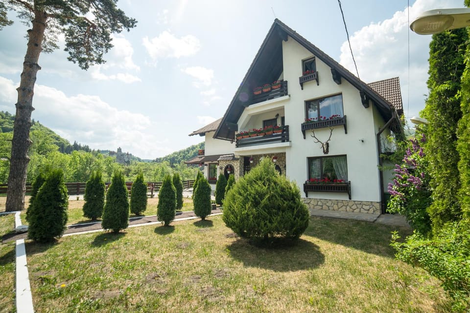 Bran Chalet Hotel in Bran