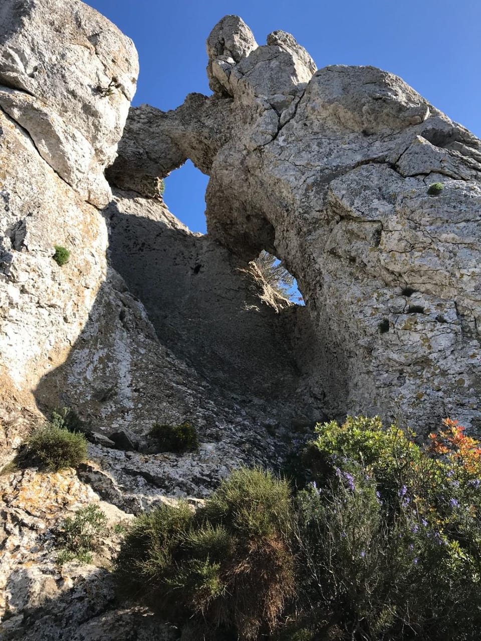 Natural landscape
