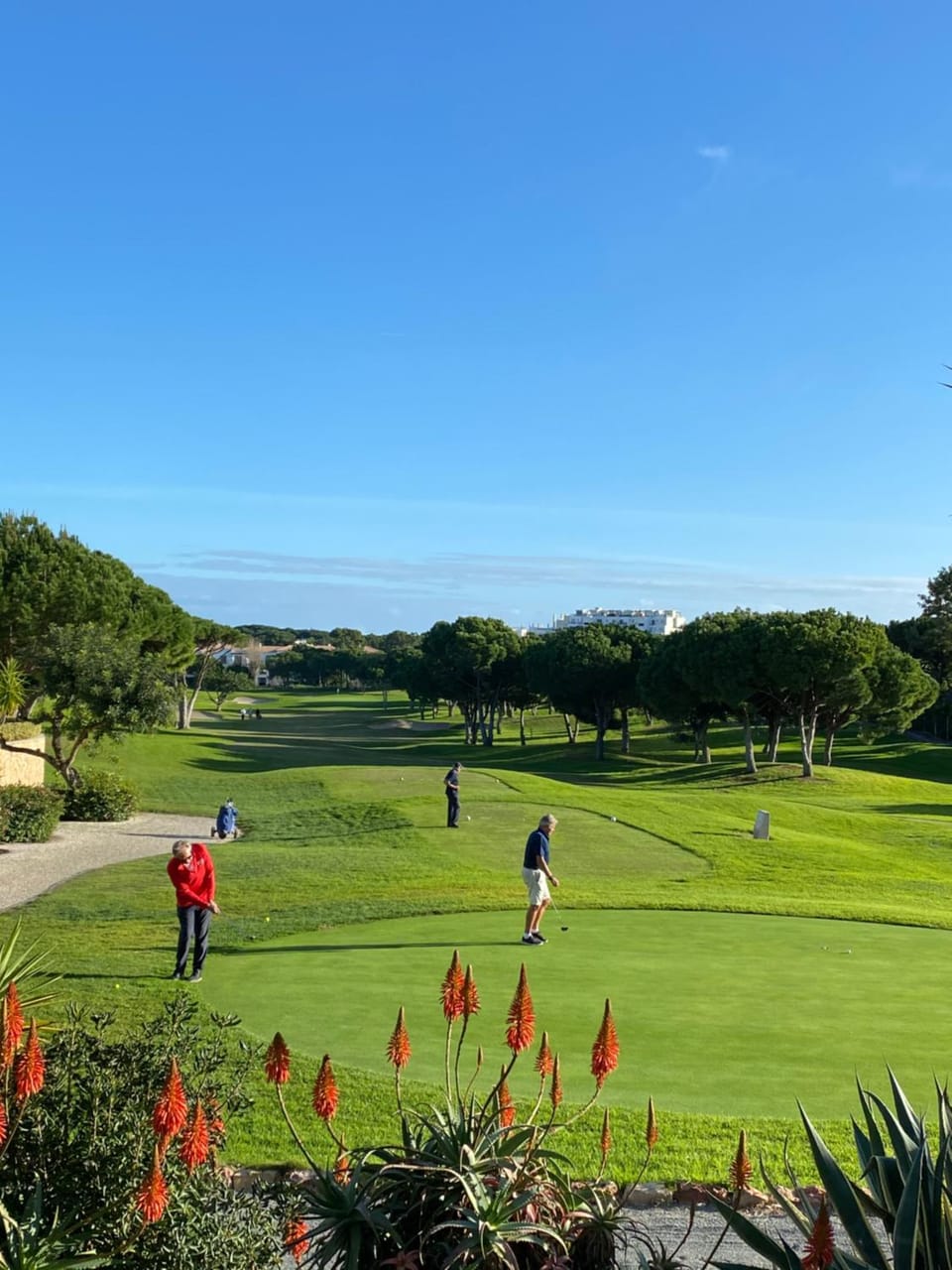 People, Golfcourse