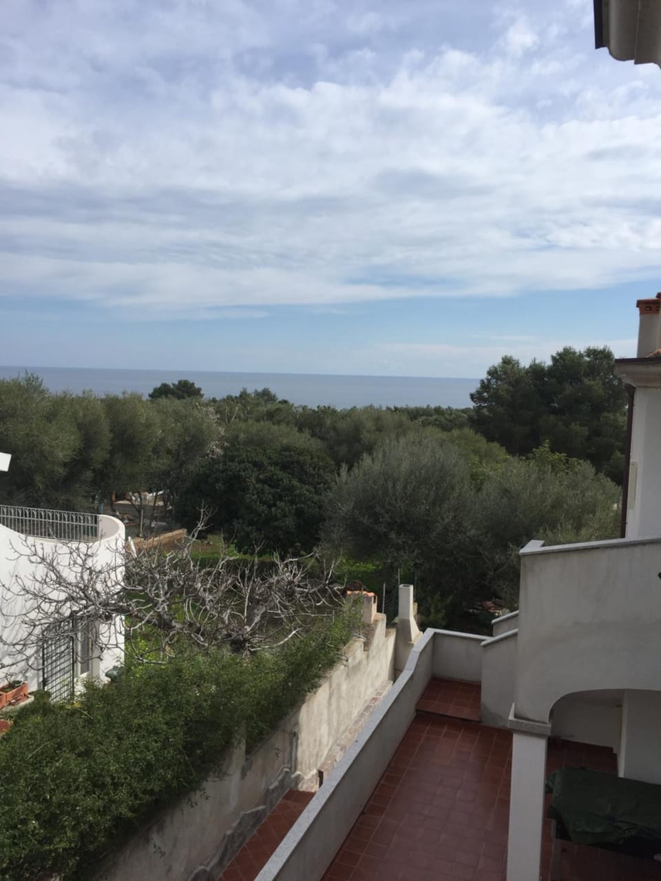 Sea view