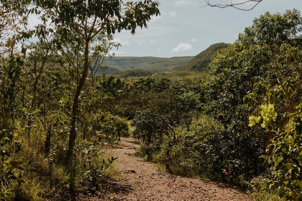 Natural landscape