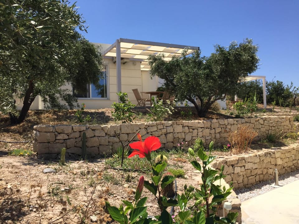 Property building, Patio, Garden