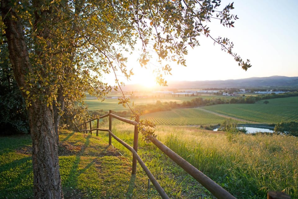Natural landscape