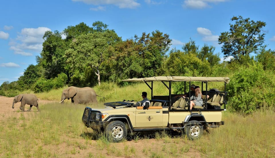 Activities, Animals