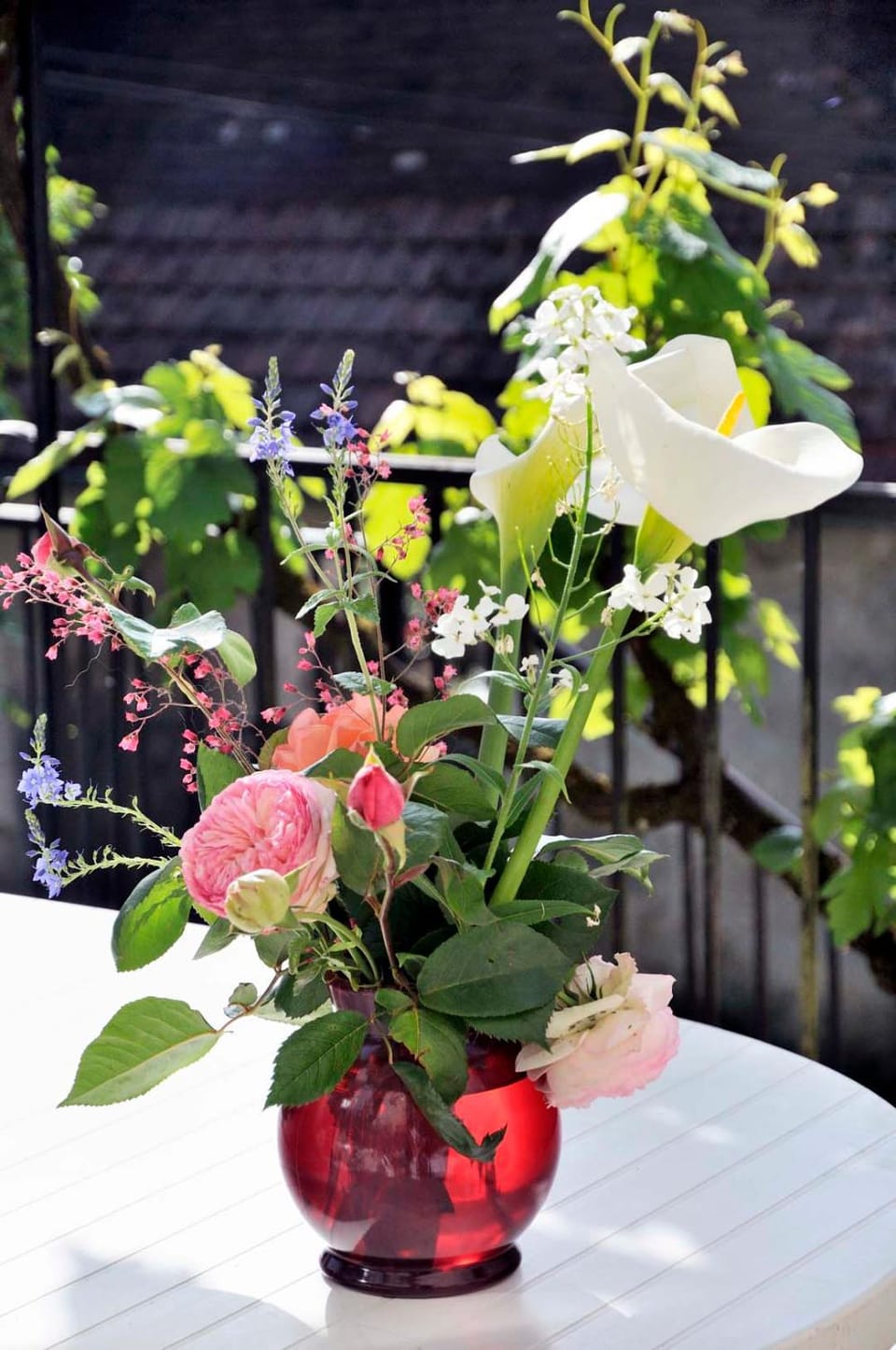 Garden, Lobby or reception, Family