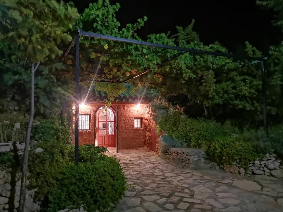 Night, Garden