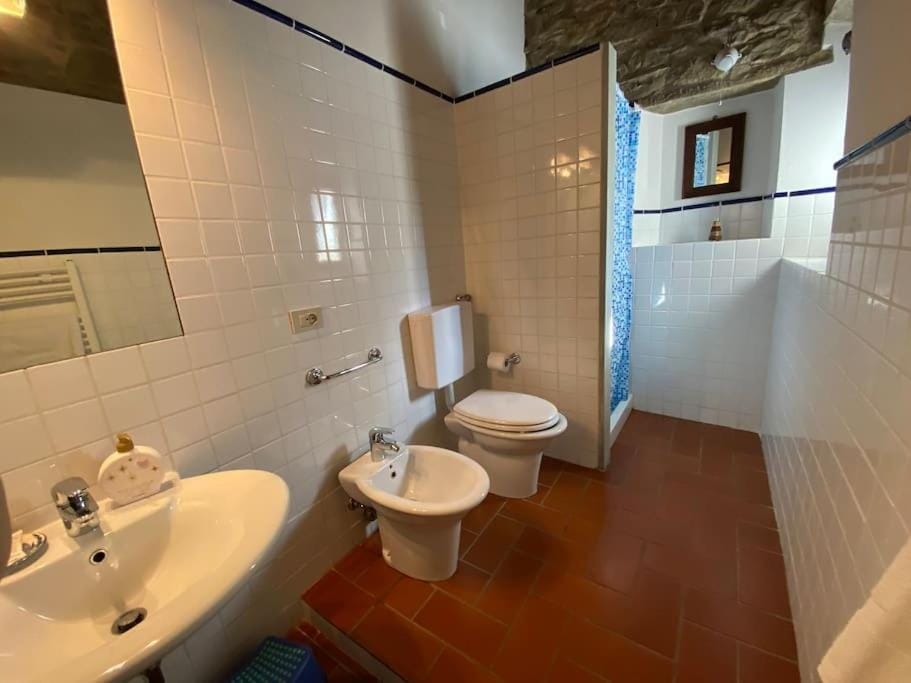 Shower, Bathroom, bidet