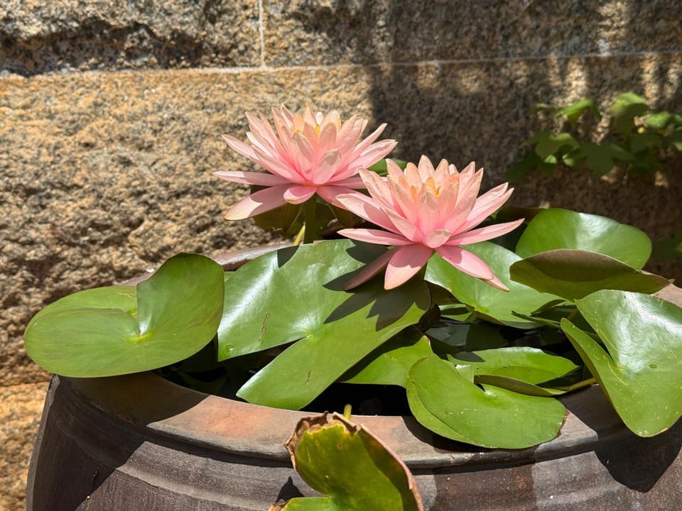 Grace Homestay 54 Vacation rental in Fujian