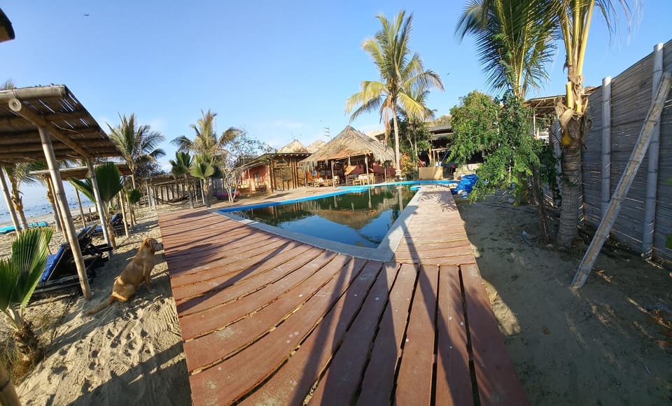 Pool view, Swimming pool