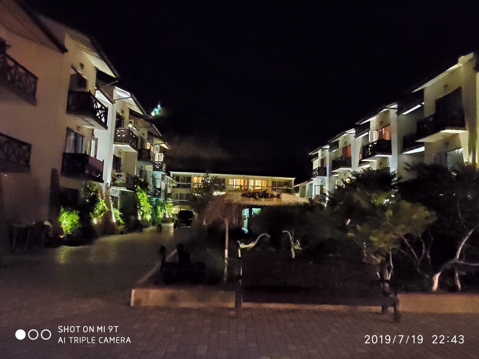 Property building, Neighbourhood, Garden