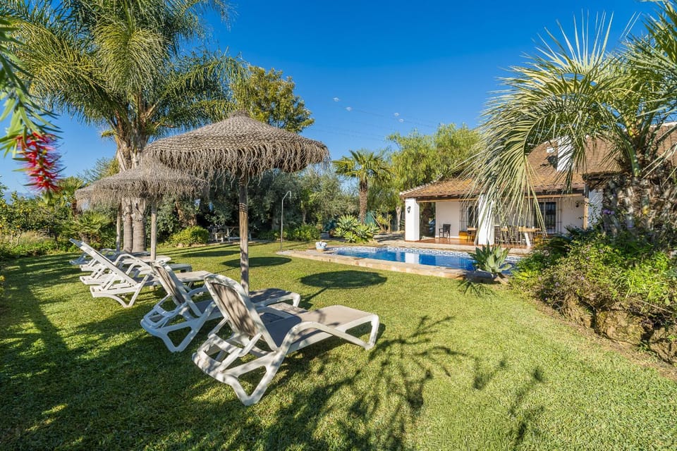 Patio, Garden, Garden view