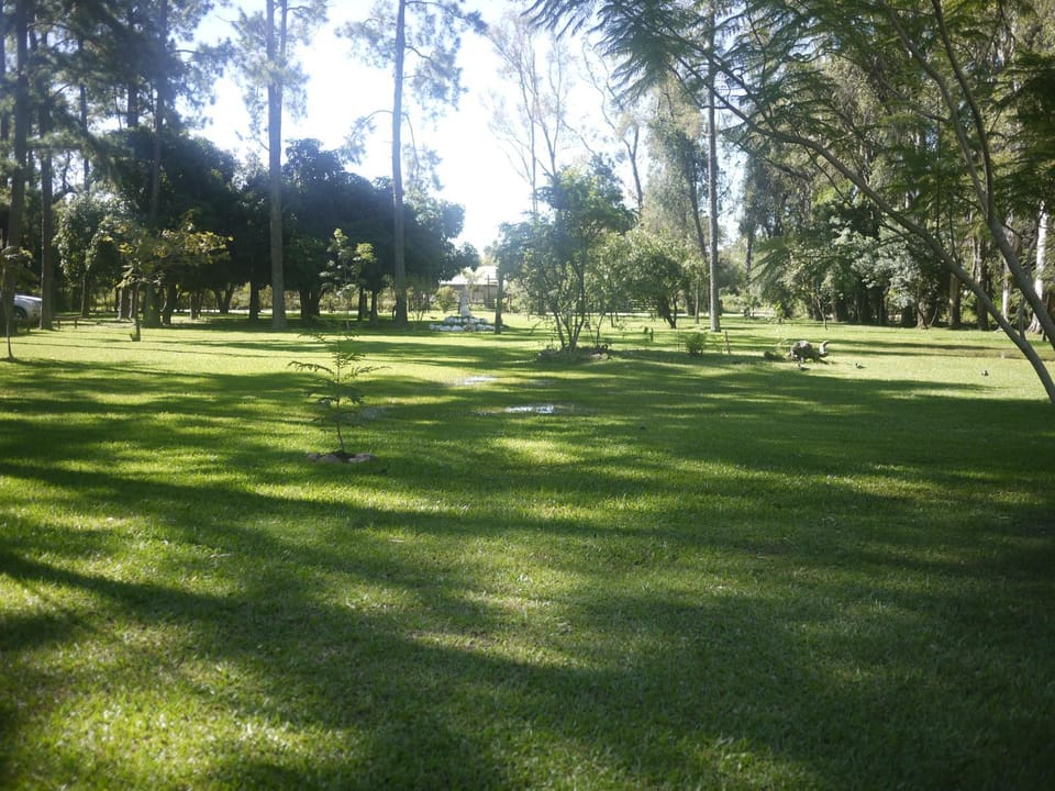 Area and facilities