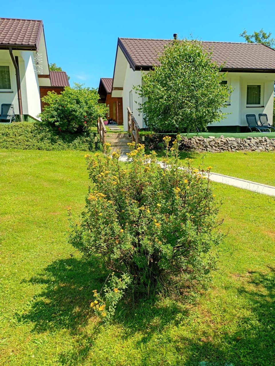 Property building, Natural landscape, Garden, Garden view