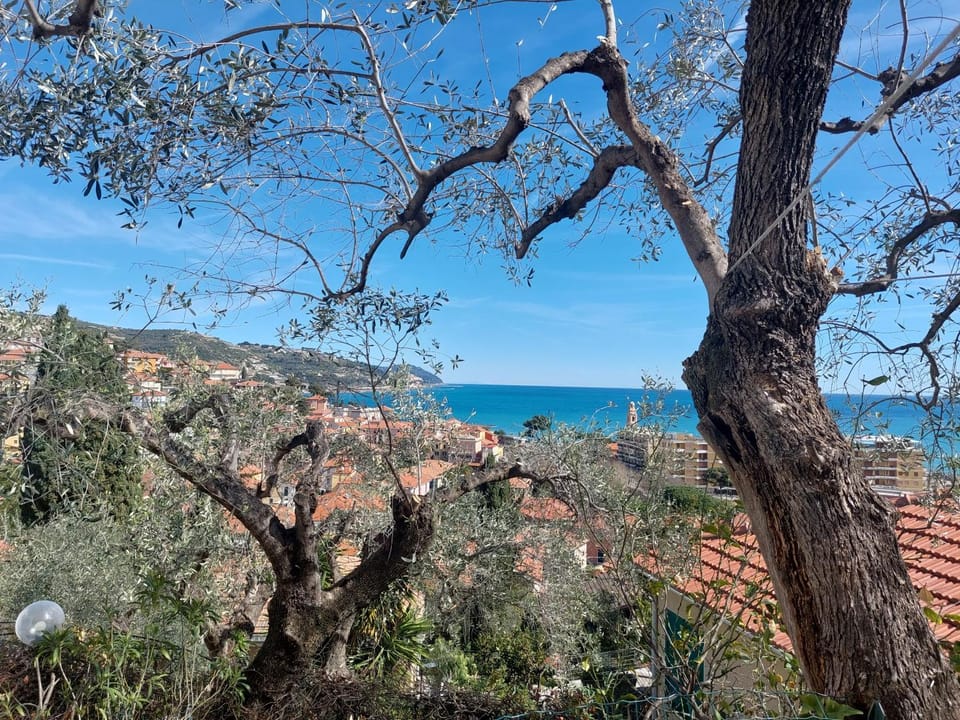 Camera con vista Vacation rental in Liguria