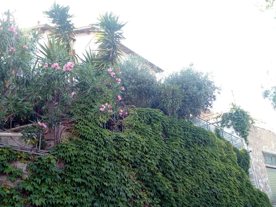 Property building, Garden