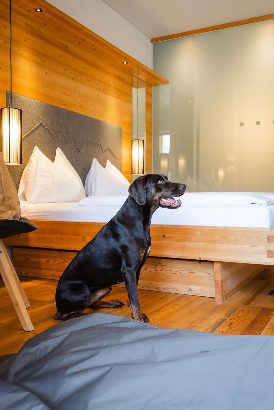 Animals, Animals, Pets, Pets, pet friendly, pet friendly