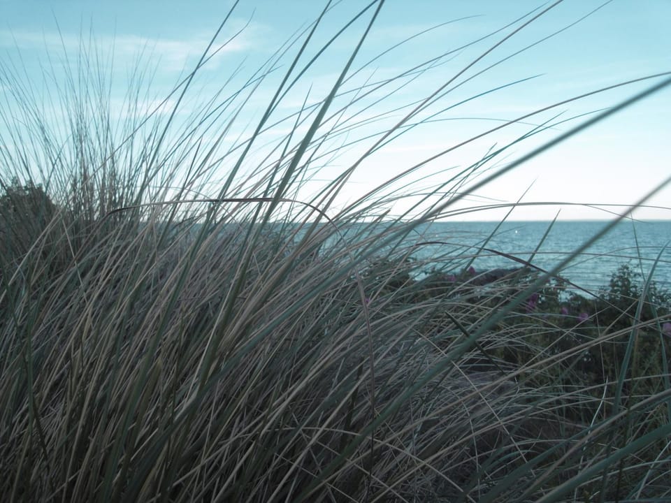 Natural landscape, Hiking, Sea view