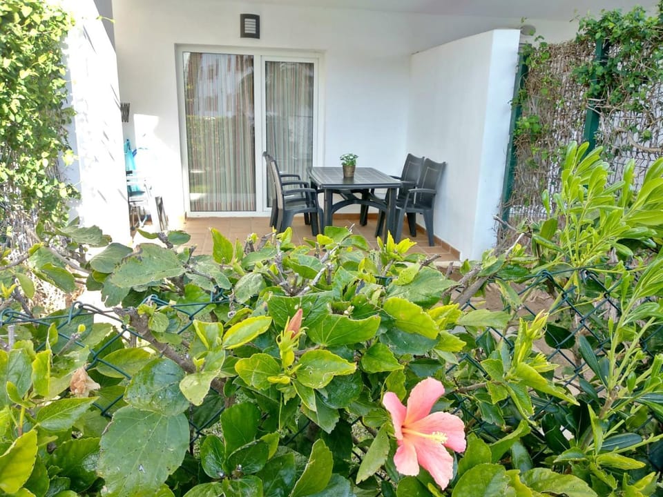 Patio, Garden, Balcony/Terrace